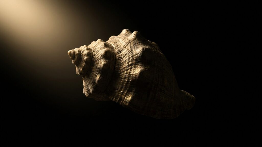 Ponte Vedra Ocean Run