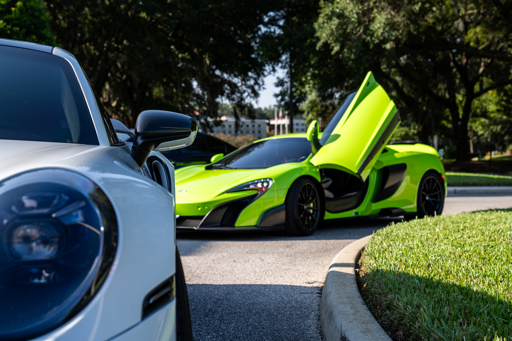 A McLaren with its door raised beside a Porsche at a Patrons Club gathering